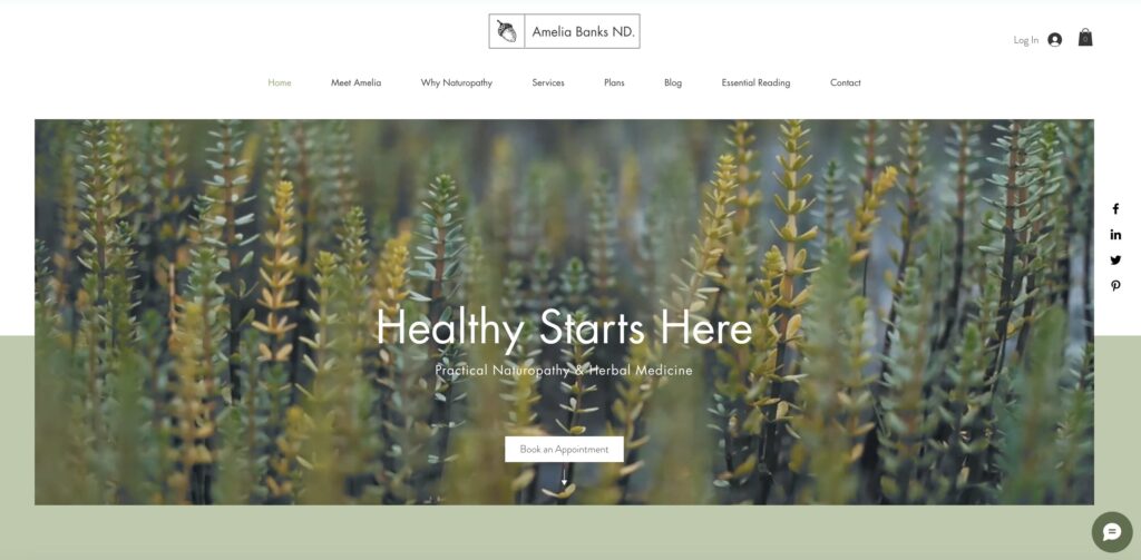 Naturopathy and Health Services Website Template Example by WIX with Book Now CTA